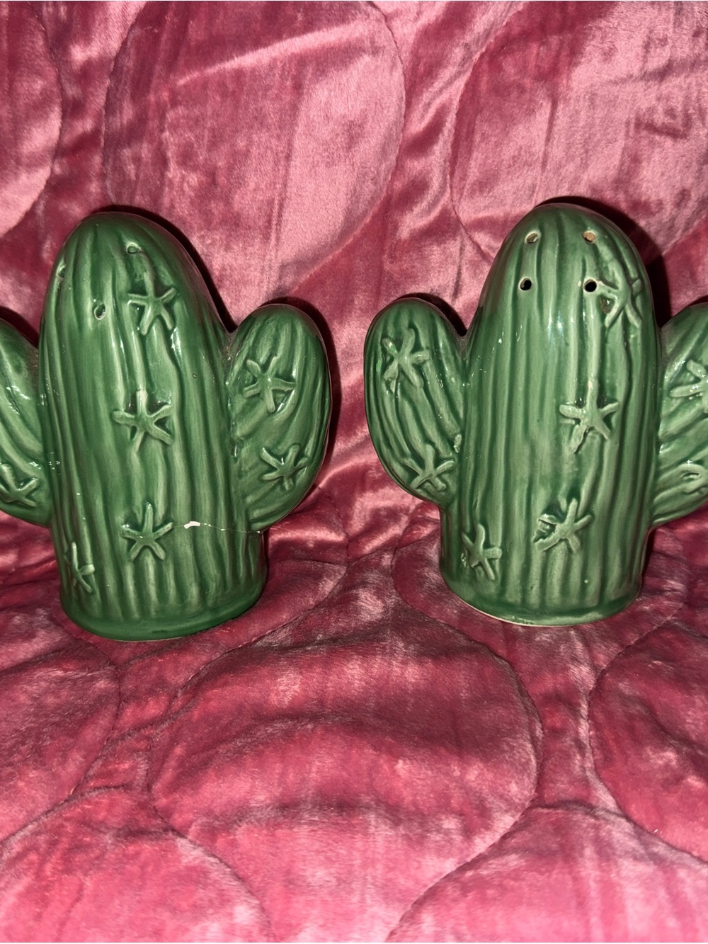Green Ceramic Cactus Salt and Pepper Shaker Set
